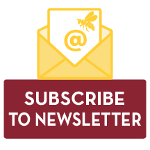 SUBSCRIBE TO NEWSLETTER