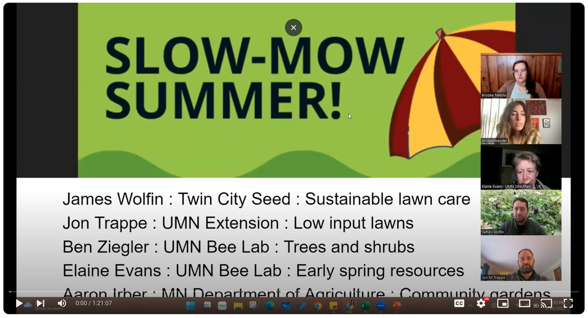 Video Slow Mow Summer