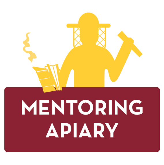mentoring apiary