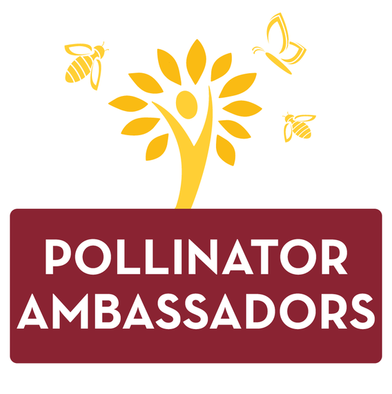 pollinator ambassadors